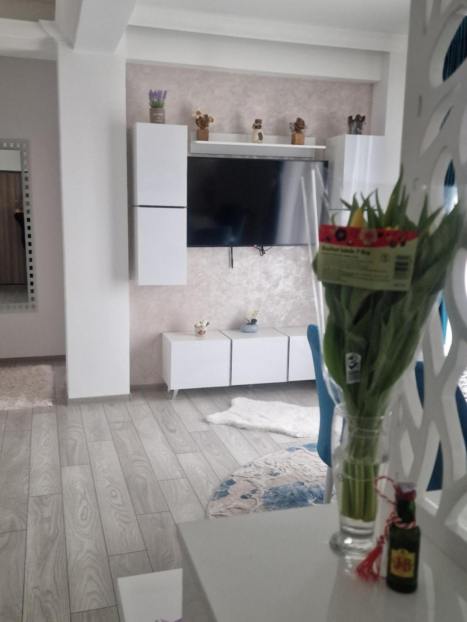 Apartament Rezidential スチャヴァ エクステリア 写真